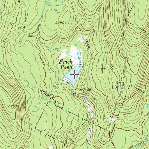 Topographic Map of Frick Pond, NY