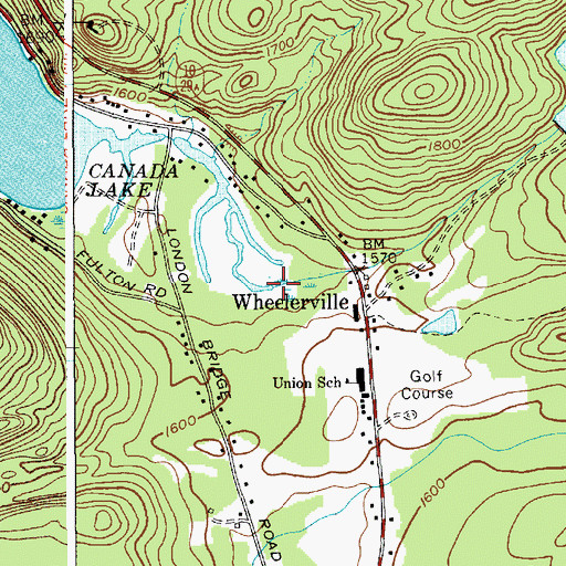 Topographic Map of Frie Flow, NY