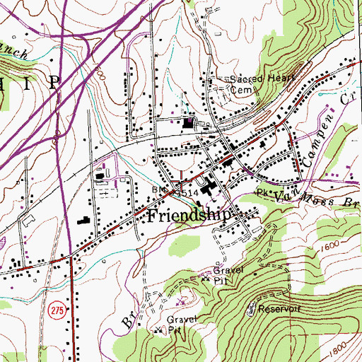 Topographic Map of Friendship, NY