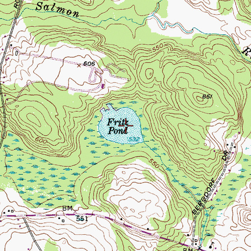 Topographic Map of Fritz Pond, NY