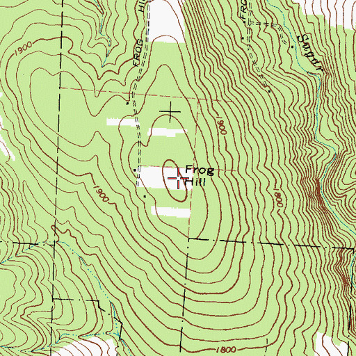 Topographic Map of Frog Hill, NY