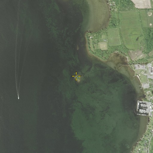 Aerial/Satellite Image of Frontenac Island, NY