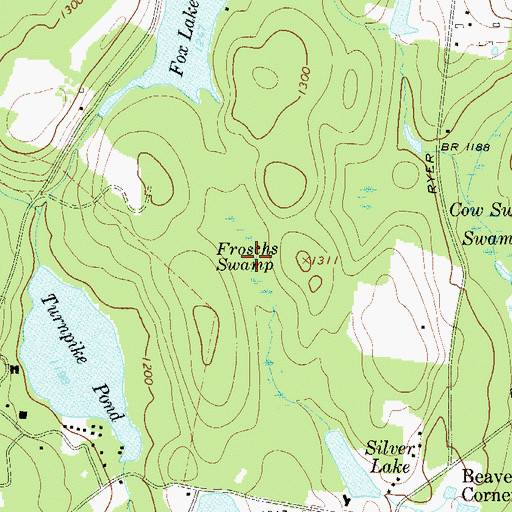 Topographic Map of Froschs Swamp, NY