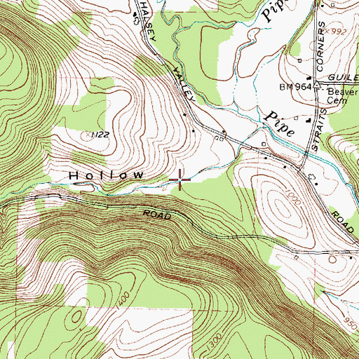 Topographic Map of Frost Hollow, NY