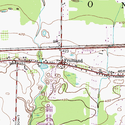 Topographic Map of Fruitland, NY