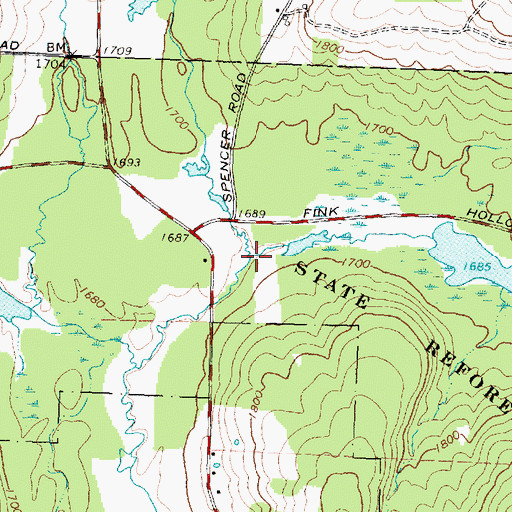 Topographic Map of Fry Creek, NY