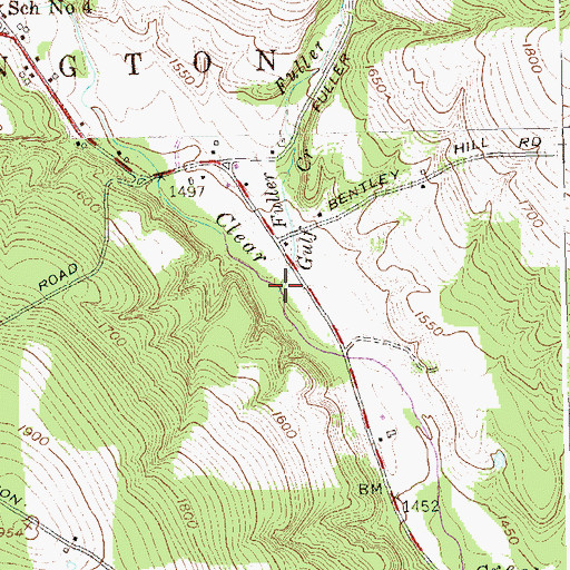 Topographic Map of Fuller Gulf Creek, NY