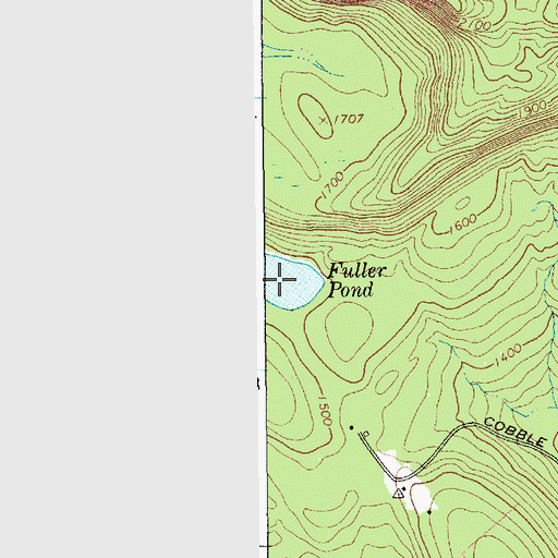 Topographic Map of Fuller Pond, NY