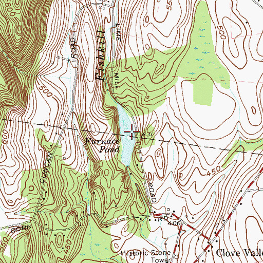 Topographic Map of Furnace Pond, NY