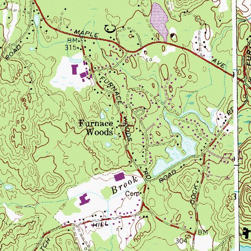 Topographic Map of Furnace Woods, NY