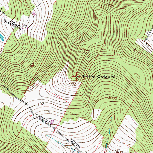Topographic Map of Fyffe Cobble, NY