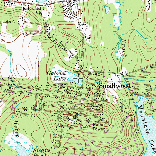 Topographic Map of Gabriel Lake, NY