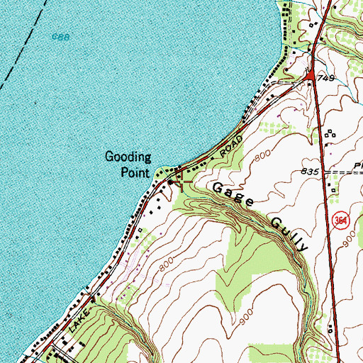 Topographic Map of Gage Gully, NY