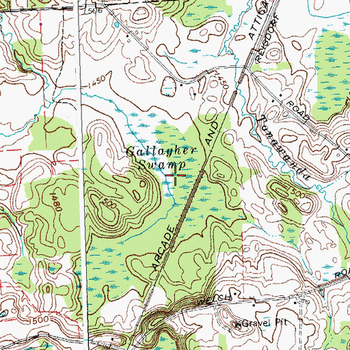 Topographic Map of Gallagher Swamp, NY