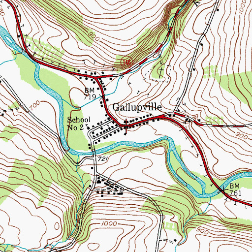 Topographic Map of Gallupville, NY