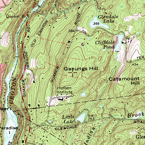 Topographic Map of Ganungs Hill, NY