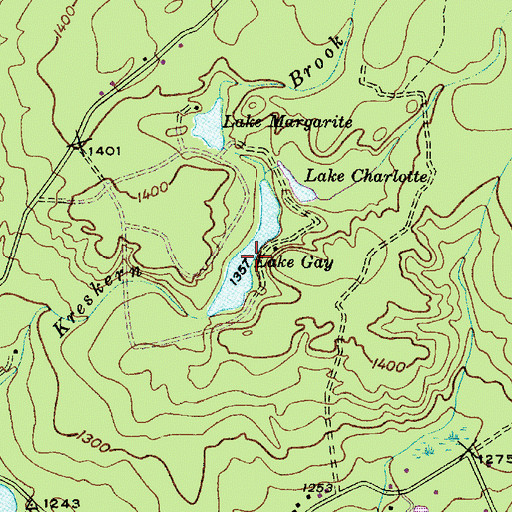 Topographic Map of Lake Gay, NY
