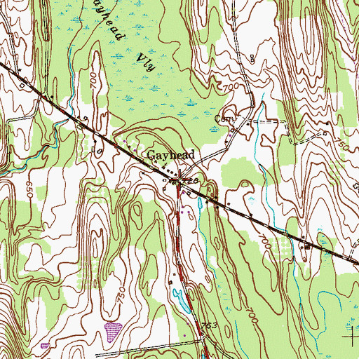 Topographic Map of Gayhead, NY