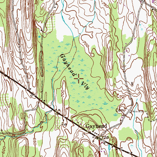 Topographic Map of Gayhead Vly, NY