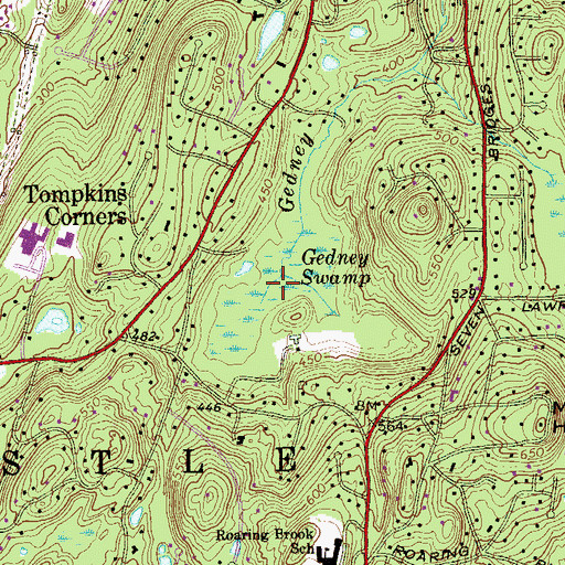 Topographic Map of Gedney Swamp, NY