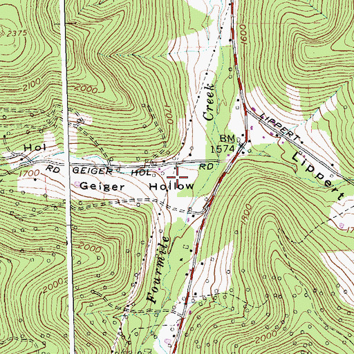 Topographic Map of Geiger Hollow, NY