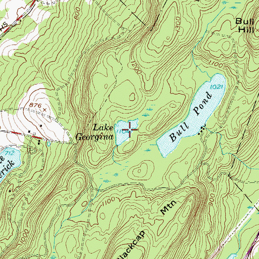 Topographic Map of Lake Georgina, NY