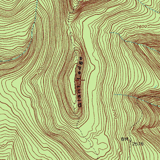 Topographic Map of Giant Ledge, NY