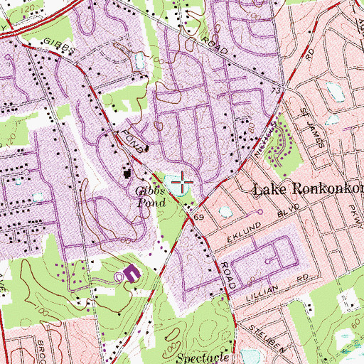 Topographic Map of Gibbs Pond, NY
