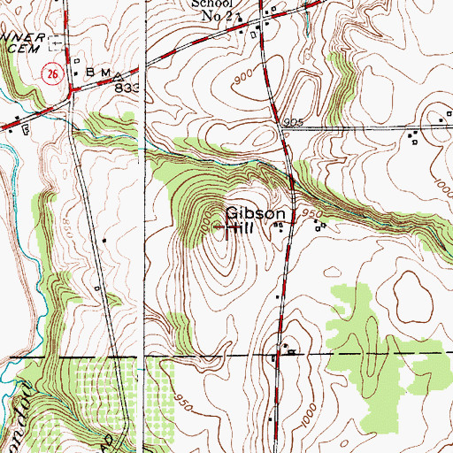 Topographic Map of Gibson Hill, NY