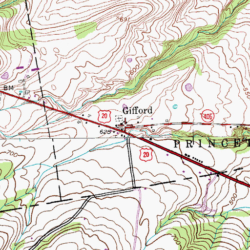 Topographic Map of Gifford, NY