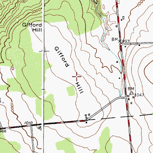 Topographic Map of Gifford Hill, NY