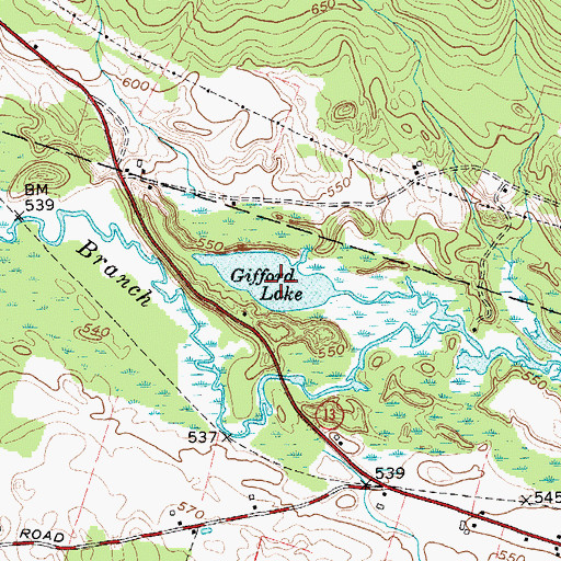 Topographic Map of Gifford Lake, NY