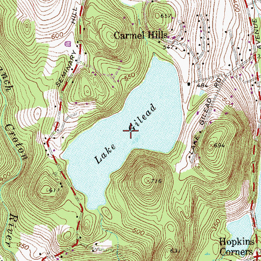 Topographic Map of Lake Gilead, NY