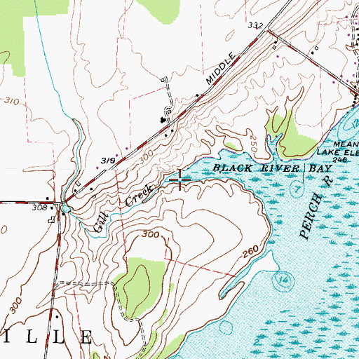 Topographic Map of Gill Creek, NY