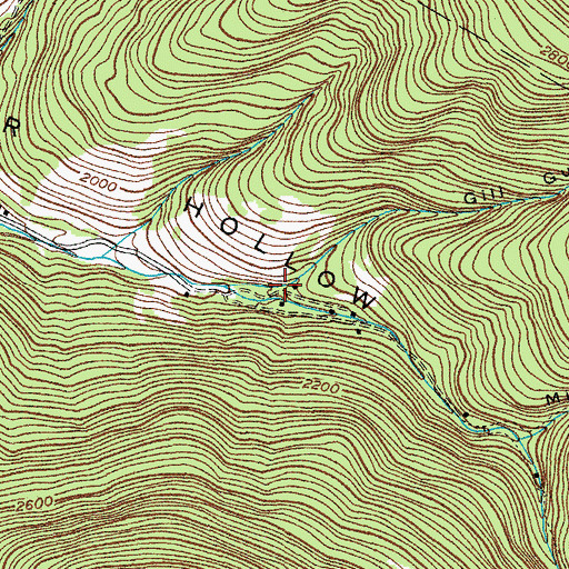 Topographic Map of Gill Gully, NY