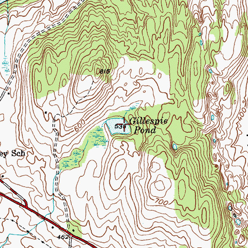 Topographic Map of Gillespie Pond, NY