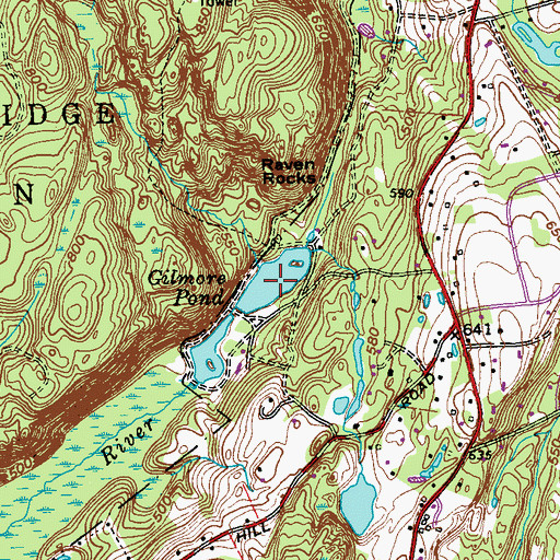 Topographic Map of Gilmore Pond, NY