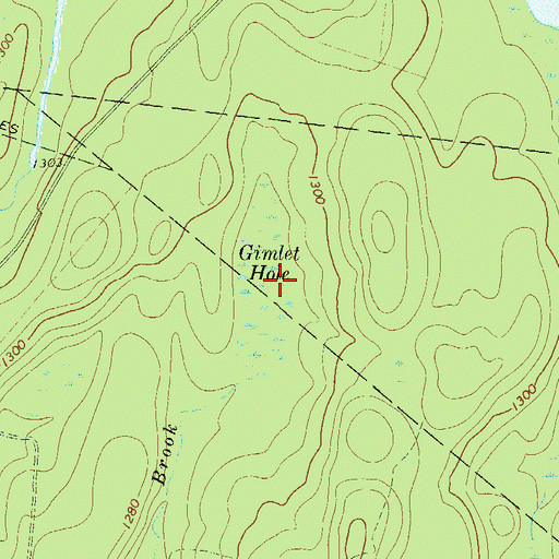 Topographic Map of Gimlet Hole, NY