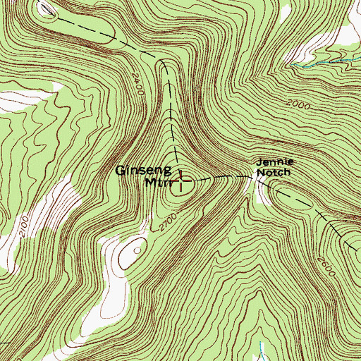 Topographic Map of Ginseng Mountain, NY