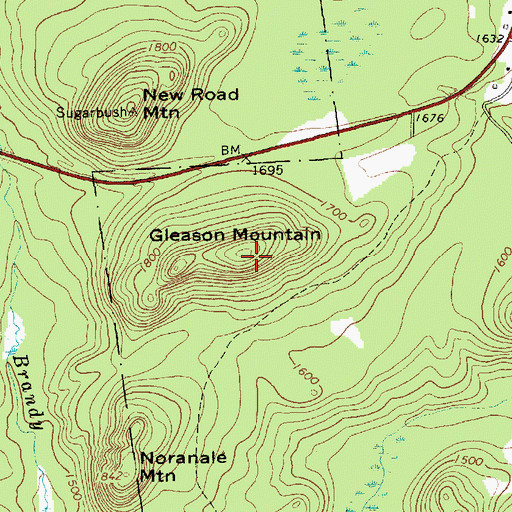 Topographic Map of Gleason Mountain, NY