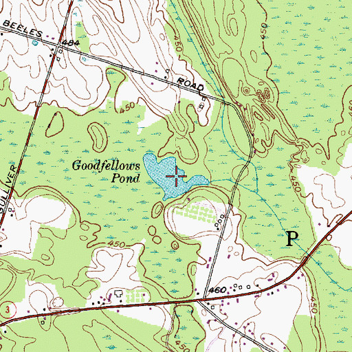 Topographic Map of Goodfellows Pond, NY