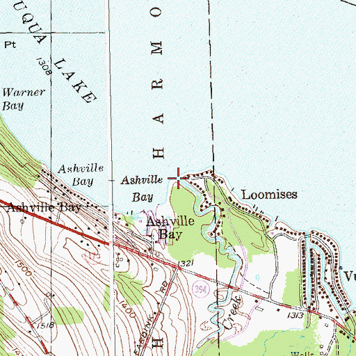 Topographic Map of Goose Creek, NY