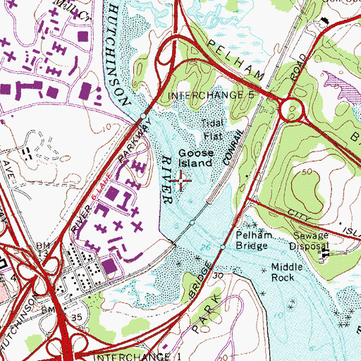 Topographic Map of Goose Island, NY