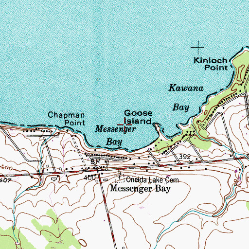 Topographic Map of Goose Island, NY