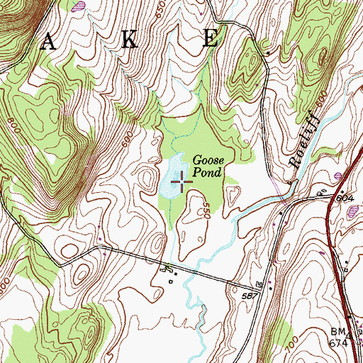 Topographic Map of Goose Pond, NY