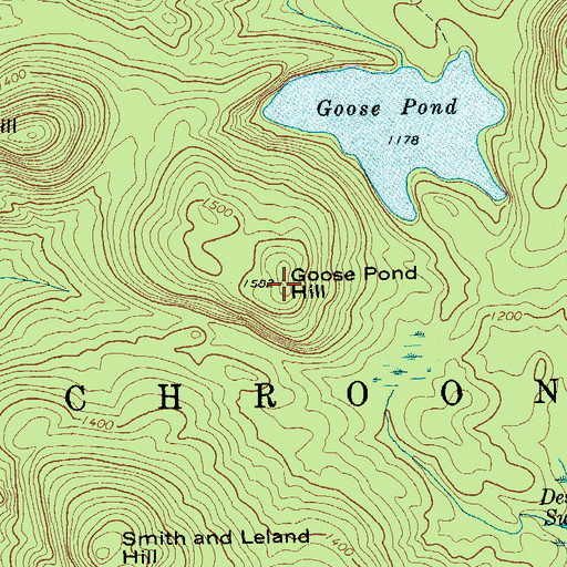 Topographic Map of Goose Pond Hill, NY
