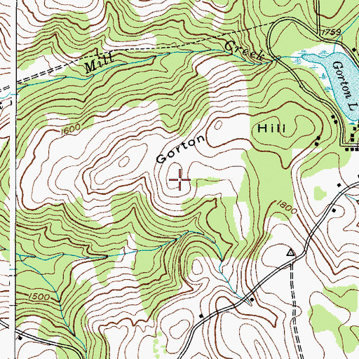 Topographic Map of Gorton Hill, NY