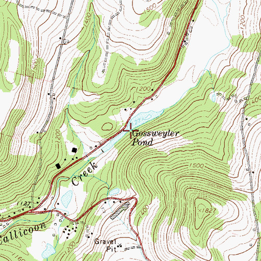 Topographic Map of Gossweyler Pond, NY
