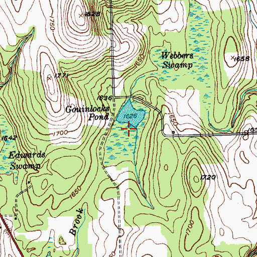 Topographic Map of Gouinlocks Pond, NY