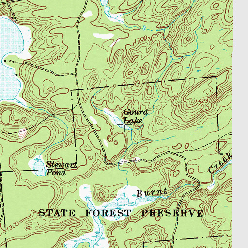 Topographic Map of Gourd Lake, NY